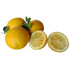 Pain d'épice au Yuzu